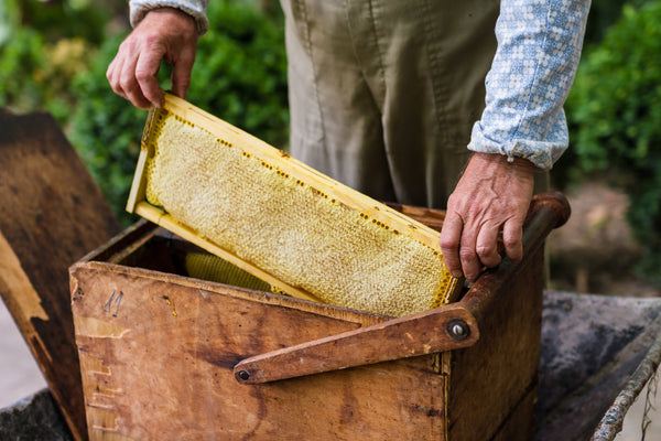What Is Beeswax? History, Uses And Why It Protects Wood Naturally